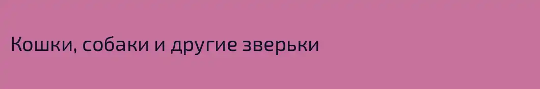 Кошки, собаки и другие зверьки